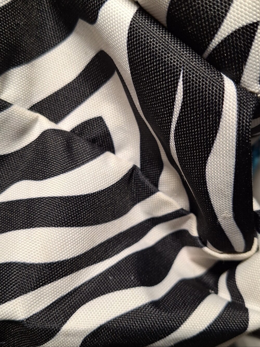 Jansport Backpack, Zebra Stripes, Black & White w/Blue Accents - Picture 10 of 16